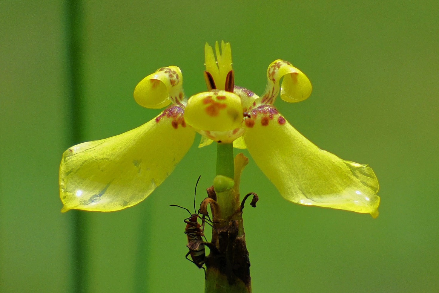 Lessons Learned from Everyday Challenges